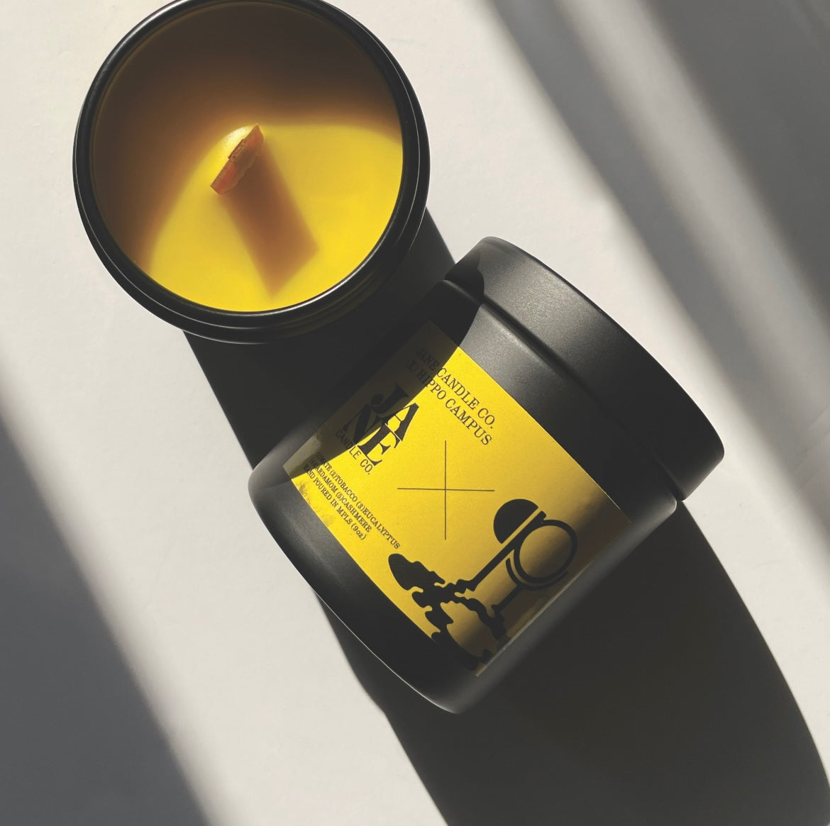 Flood - Hippo Campus x Jane Candle Co. collab